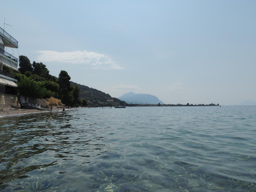 Khrónia Panorama 아파트 객실 사진